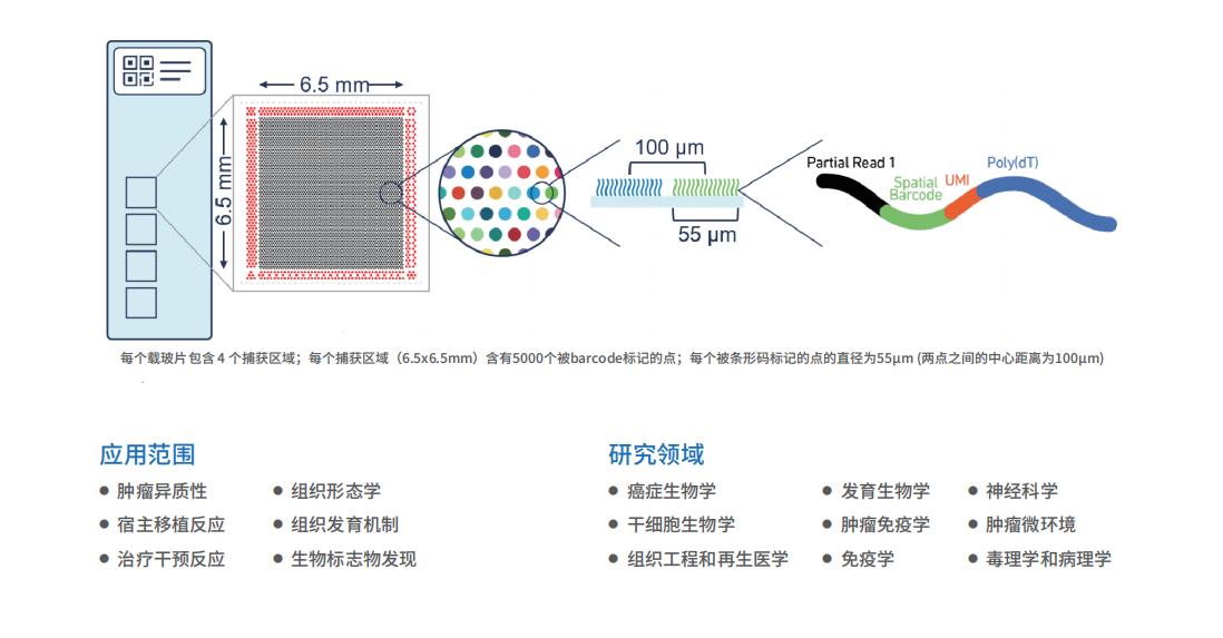 1604632421181802.png 3.png