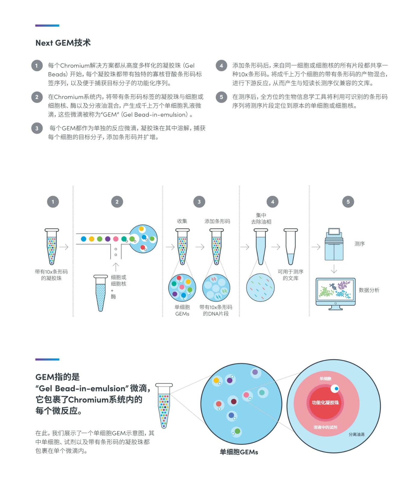 1634279033103310.jpg 1634279033103310.jpg