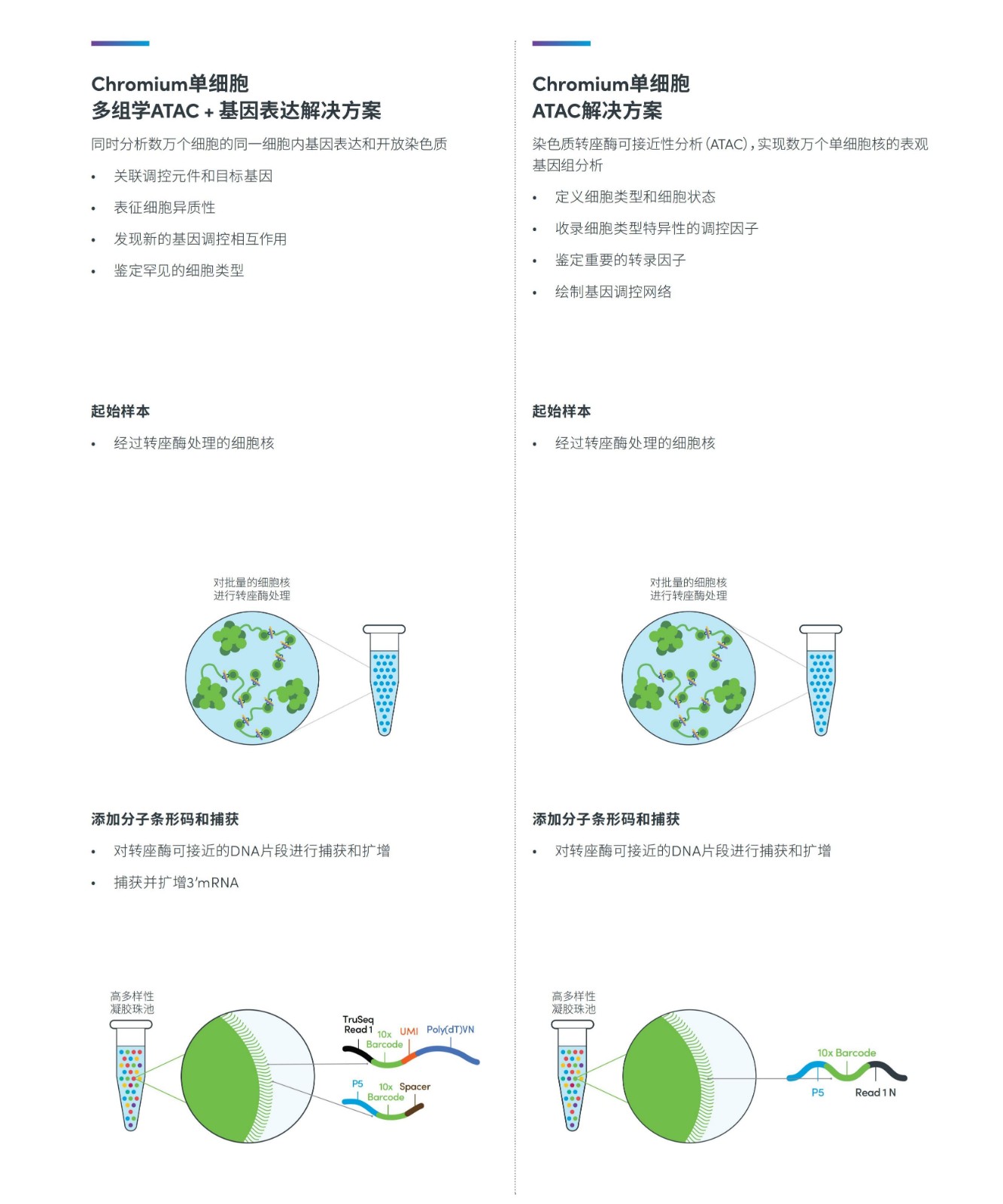 1634279033991882.jpg 1634279033991882.jpg