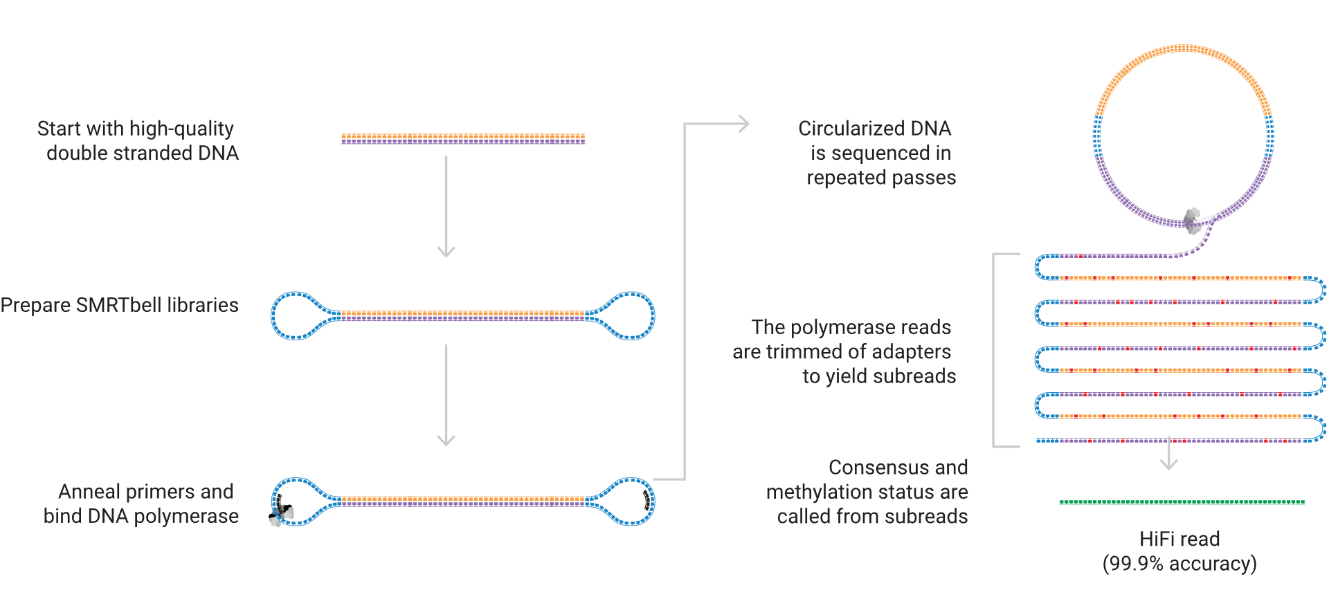 1758252006100694.png 1758252006100694.png