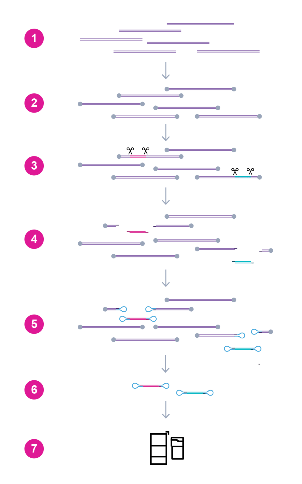 1758526925111361.png 1758526925111361.png