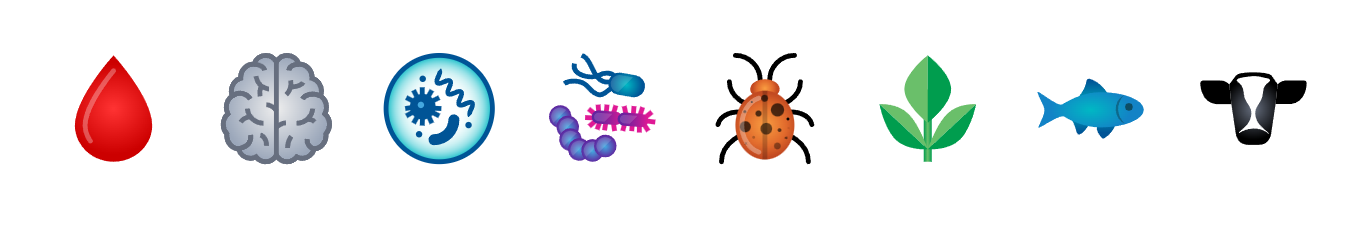 1758531299794797.png 1758531299794797.png